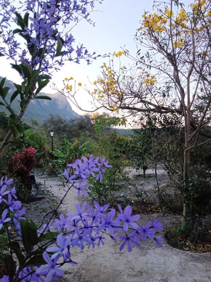 Terra De Aruanda Pousada Palmeiras  Buitenkant foto