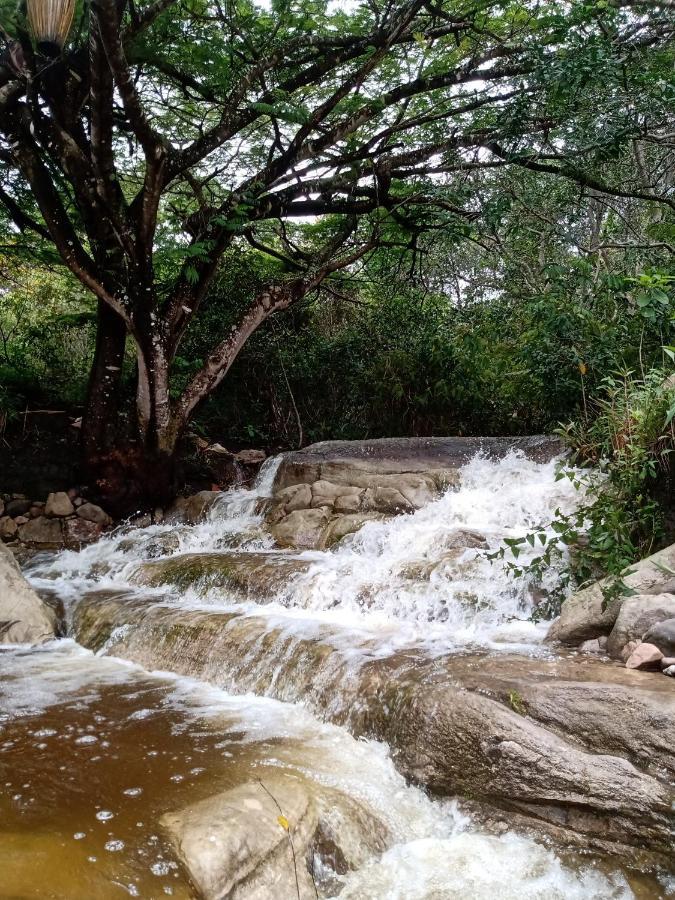 Terra De Aruanda Pousada Palmeiras  Buitenkant foto